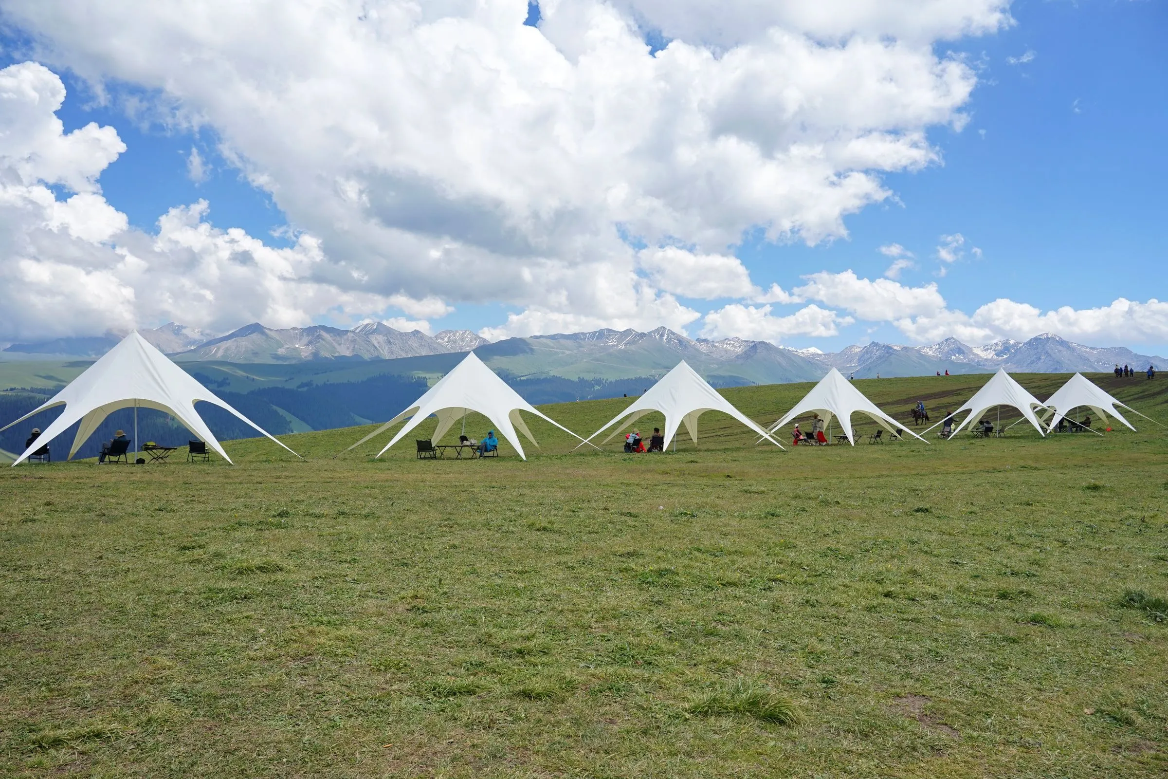 Carpas blancas tensadas en una pradera de altura con montañas nevadas al fondo